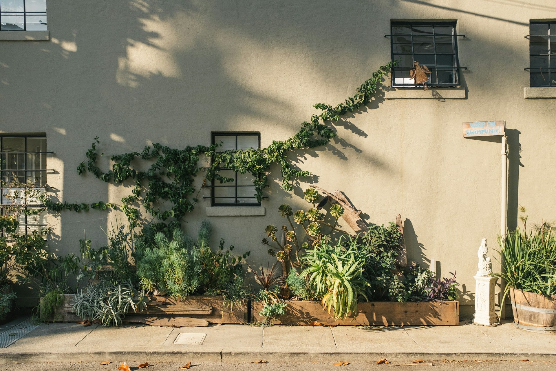 slider image 162080663620b95195-1
